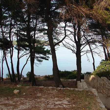 Apartments Matkov - Quite And Peaceful Location Jelsa  Extérieur photo